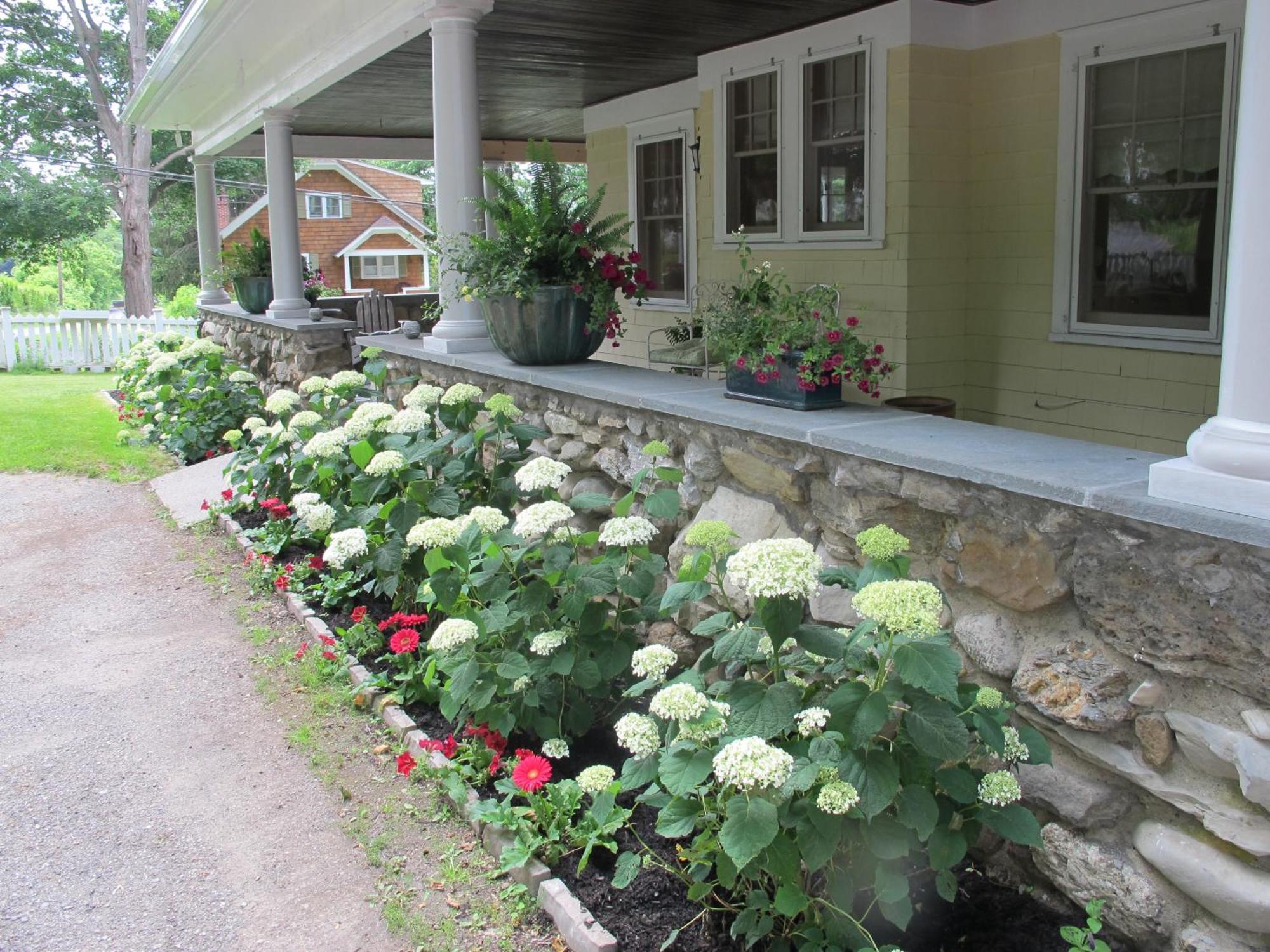 Hilltop House Bed & Breakfast Amenia Exteriör bild