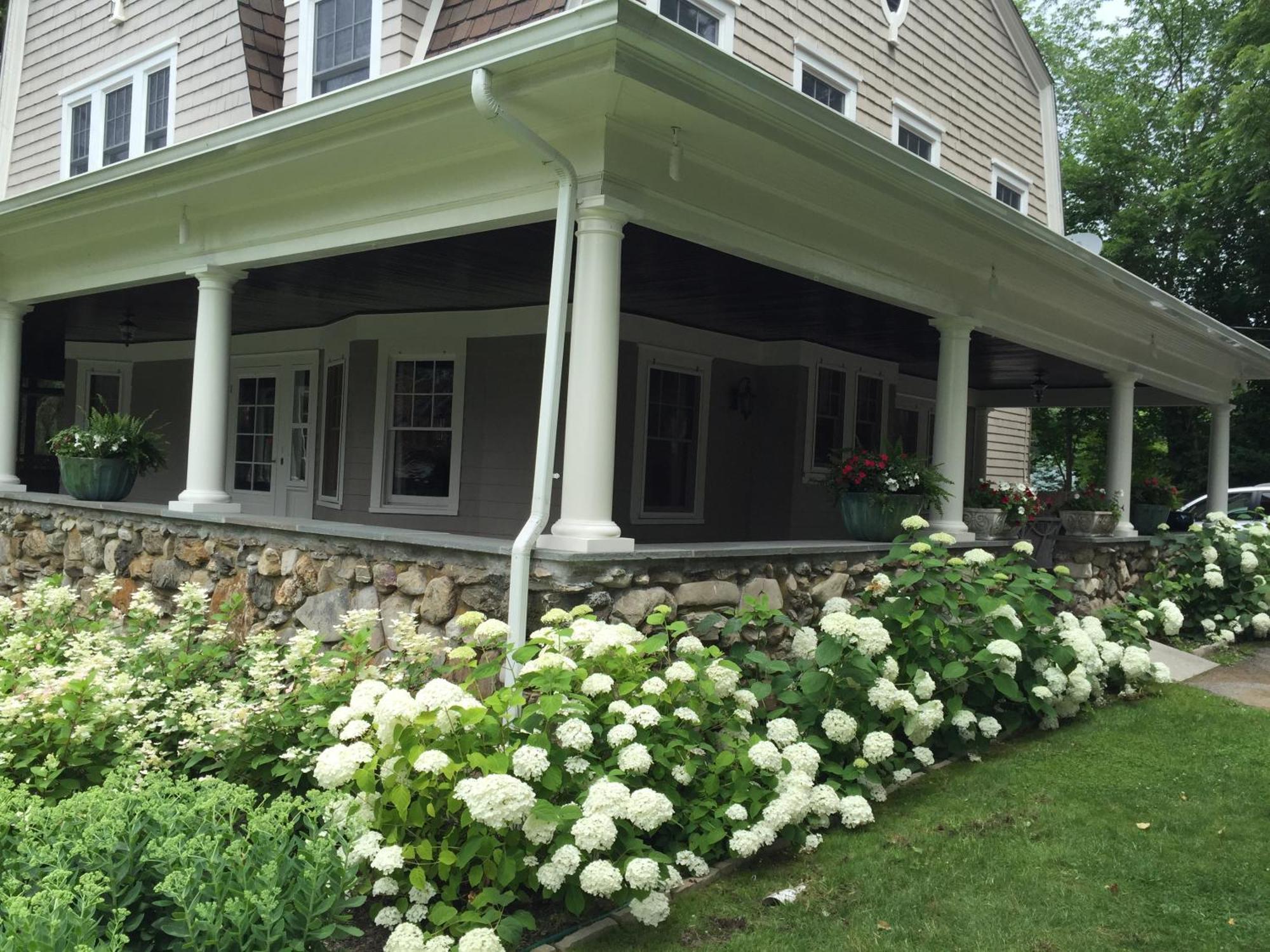 Hilltop House Bed & Breakfast Amenia Exteriör bild
